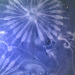 Een Chinese Swatow schotel met slibversiering op blauwe fond, Ming — foto 8