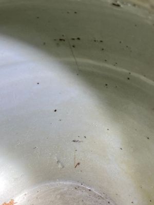 Een Chinese wucai 'acht onsterfelijken' vaas, Transitie periode — foto 10