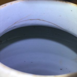 Een Chinese wucai pot met floraal decor, Transitie periode — foto 11