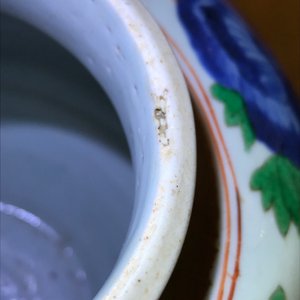 Een Chinese wucai pot met floraal decor, Transitie periode — foto 12