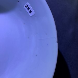 Een collectie divers Chinees 'Bleu de Hue' porselein voor de Vietnamese markt, 19e eeuw — foto 11