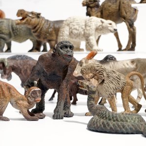 Een collectie Duitse elastoline en lineol figuren van dieren, firma Hausser, 1e helft 20e eeuw — foto 5