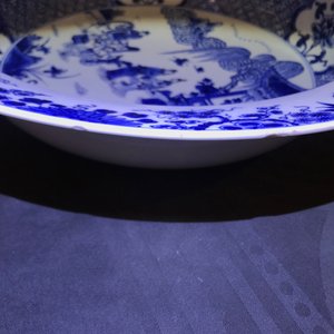 Een diepe Chinese blauw-witte schotel met figuren in een tuin, Yongzheng — foto 7