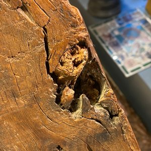 Een eikenhouten Sint-Anna-ten-Drieën groep, Rijnvallei, Duitsland, ca. 1480 — foto 7