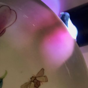 Een fijn Chinees famille rose 'ruby back' eierschaal bord met floraal decor, Yongzheng — foto 4