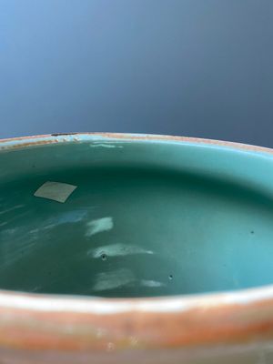 Een fraaie Chinese Longquan celadon vaas met floraal decor, Ming — foto 6