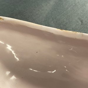 Een fraaie polychrome terrine in de vorm van een eend, Frankrijk, 18e eeuw — foto 10