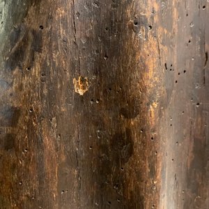 Een fruithouten figuur van een vrouwelijke heilige, Rijngebied, Duitsland, 2e helft 16e eeuw — foto 15
