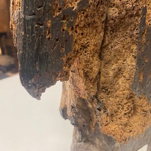 Een gepolychromeerde eikenhouten figuur van een Madonna met kind, 1e helft 16e eeuw — foto 12