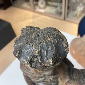 Een gepolychromeerde eikenhouten figuur van een Madonna met kind, 1e helft 16e eeuw — foto 15