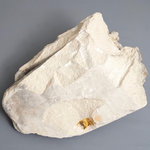 Een gesculpteerd zandstenen fragment van een engelenkop met vleugel, 17/18e eeuw — foto 6