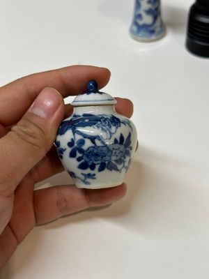 Een gevarieerde collectie Chinees blauw-wit porselein, Kangxi/Qianlong — foto 5