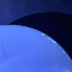 Een gevarieerde collectie Chinees 'Bleu de Hue' porselein voor de Vietnamese markt, 19e eeuw — foto 31