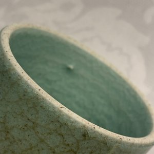 Een gevarieerde collectie monochroom Chinees porselein, 19/20e eeuw — foto 16