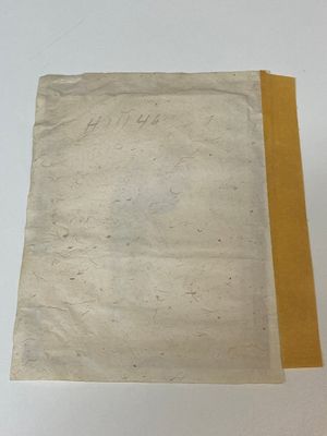 Een gevarieerde verzameling Chinese rijstpapier schilderingen met figuren, Canton, 19e eeuw — foto 49