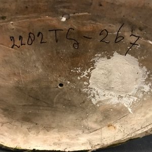 Een groep van een moeder met kind in Palissy-stijl, Frankrijk, 17e eeuw — foto 19