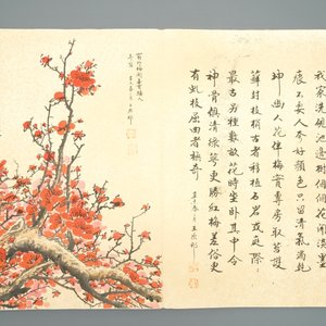 Een groot Chinees album met aquarellen en kalligrafie, 19/20e eeuw — foto 11