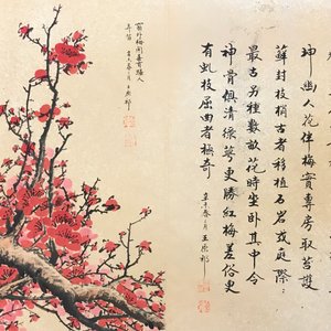 Een groot Chinees album met aquarellen en kalligrafie, 19/20e eeuw — foto 14