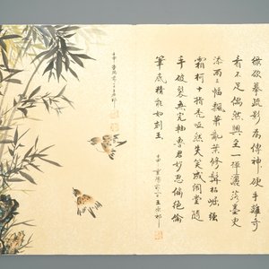 Een groot Chinees album met aquarellen en kalligrafie, 19/20e eeuw — foto 7
