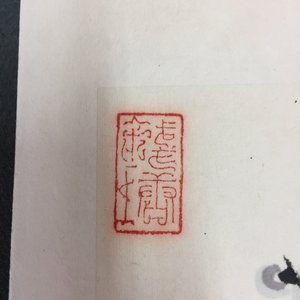Een groot Chinees album met schilderingen van bloesemtakken, 19/20e eeuw — foto 12