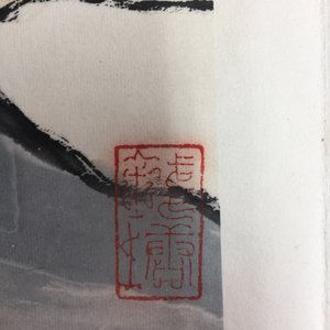 Een groot Chinees album met schilderingen van bloesemtakken, 19/20e eeuw — foto 16