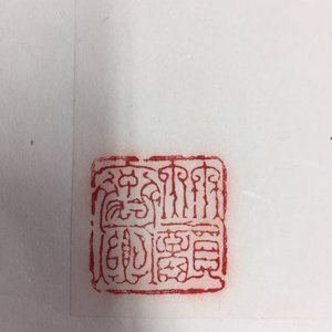 Een groot Chinees album met schilderingen van bloesemtakken, 19/20e eeuw — foto 30