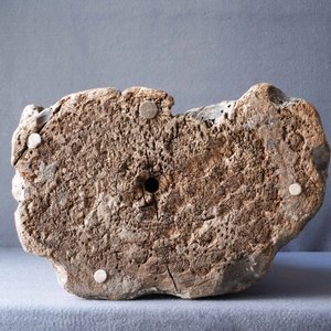 Een grote Chinese beschilderd houten figuur van een Boeddhistische monnik, Ming — foto 13