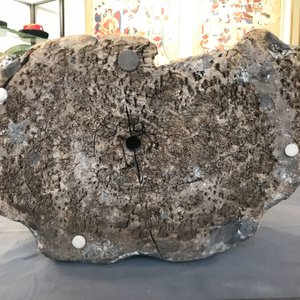 Een grote Chinese beschilderd houten figuur van een Boeddhistische monnik, Ming — foto 25