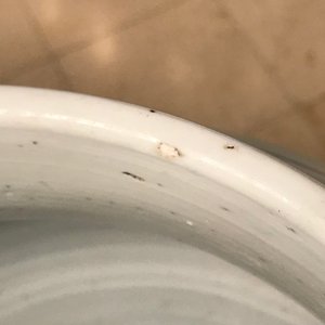Een grote Chinese blauw-witte dekselvaas, Kangxi — foto 12