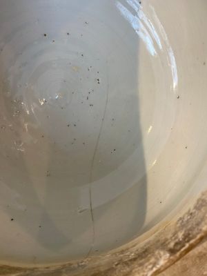 Een grote Chinese blauw-witte dekselvaas met draken, 19e eeuw — foto 8