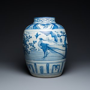 Een grote Chinese blauw-witte pot met een fazant, Ming — foto 1
