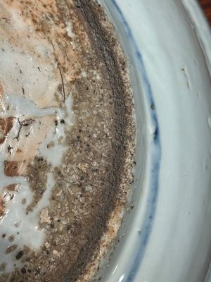 Een grote Chinese blauw-witte Swatow schotel met een langoest en een karper bij een vissersdorp, Ming — foto 11