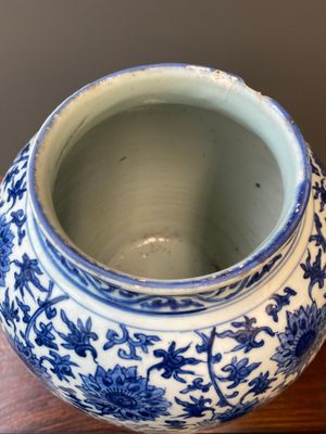 Een grote Chinese blauw-witte vaas met lotusslingers, Ming — foto 4