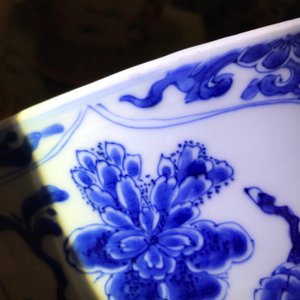 Een grote Chinese blauwwitte kom met florale vakverdeling, Kangxi — foto 13