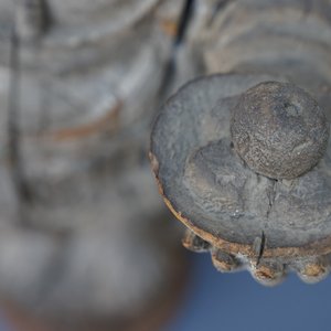 Een grote Chinese houten sculptuur van Guanyin, Ming — foto 16