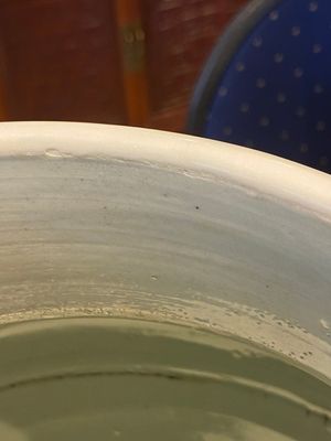 Een grote Chinese wucai dekselvaas met decor van 'Guo Ziyi's verjaardag', Transitie periode — foto 34