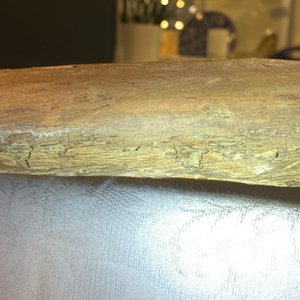 Een grote gepolychromeerde eikenhouten Christus, Vlaanderen, 1e kwart 16e eeuw — foto 57