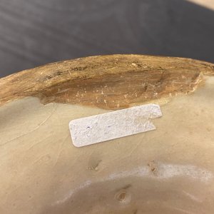 Een grote Italiaanse majolica kom met Amor, Montelupo of Caffagiolo, 1e helft 16e eeuw — foto 27