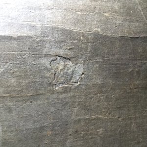 Een horizontaal Chinees schilderij met floraal decor, 18/19e eeuw — foto 7