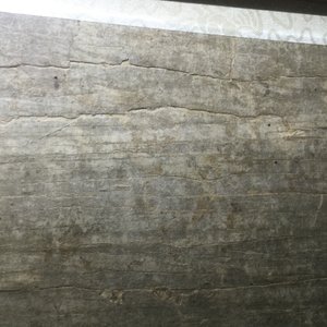 Een horizontaal Chinees schilderij met floraal decor, 18/19e eeuw — foto 8