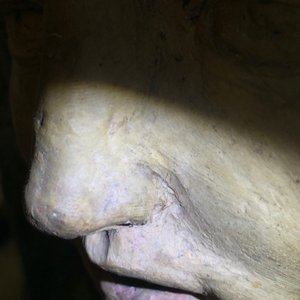 Een Italiaanse Madonna, buste in polychrome terracotta, wellicht Bologna, 16e eeuw — foto 8