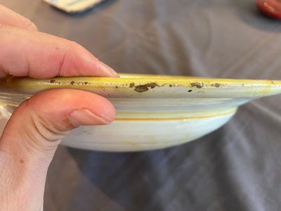 Een Italiaanse majolica schotel met het portret van de Romeinse keizer Claudius, 17e eeuw — foto 12