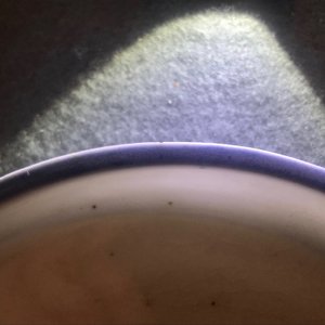 Een Japans blauwwit Ai-Kutani bord met twee herten, Edo, 17e eeuw — foto 3
