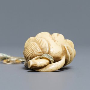 Een Japanse ivoren netsuke in de vorm van een lotusbloem, Edo, 18e eeuw — foto 6