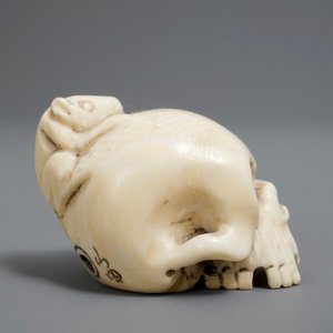 Een Japanse ivoren netsuke in de vorm van een schedel, Meiji/Showa, 19/20e eeuw — foto 3