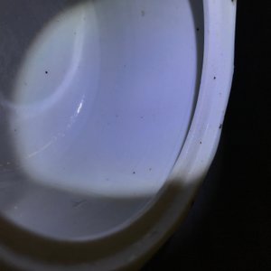 Een Japanse Kakiemon suikerpot met deksel, Edo, 17/18e eeuw — foto 10