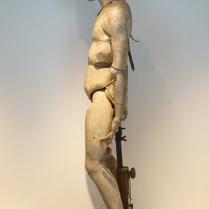Een levensgroot anatomisch model voor een beeldhouwer, 19e eeuw — foto 3