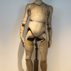 Een levensgroot anatomisch model voor een beeldhouwer, 19e eeuw — foto 6