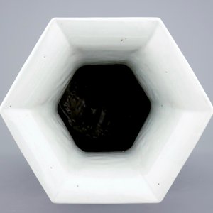 Een octagonale Chinese vaas met qianjiang cai decor, 19/20e eeuw — foto 5