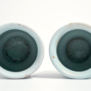 Een paar blauwwitte albarelli of apothekerspotten, Rijsel, 18e eeuw — foto 6